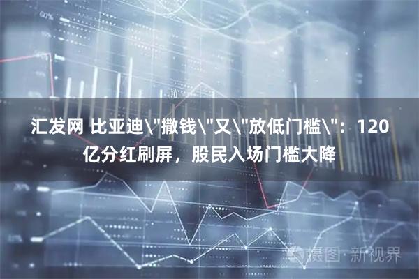 汇发网 比亚迪