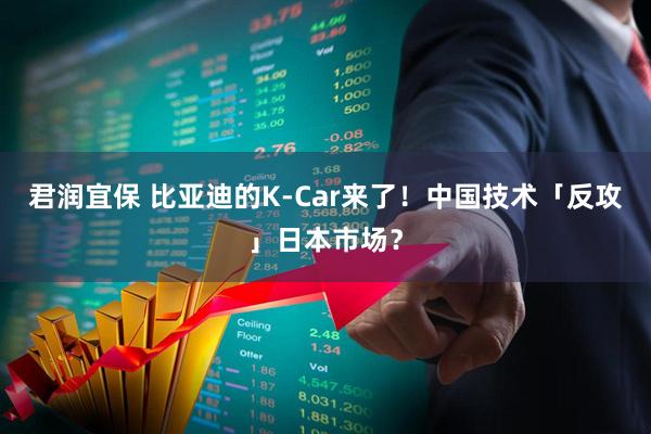 君润宜保 比亚迪的K-Car来了!中国技术「反攻」日本市场?