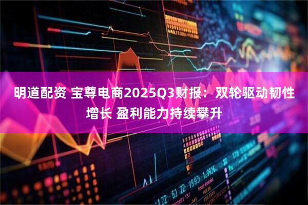 明道配资 宝尊电商2025Q3财报:双轮驱动韧性增长 盈利能力持续攀升