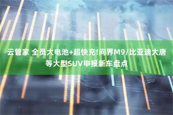 云管家 全员大电池+超快充!问界M9/比亚迪大唐等大型SUV申报新车盘点