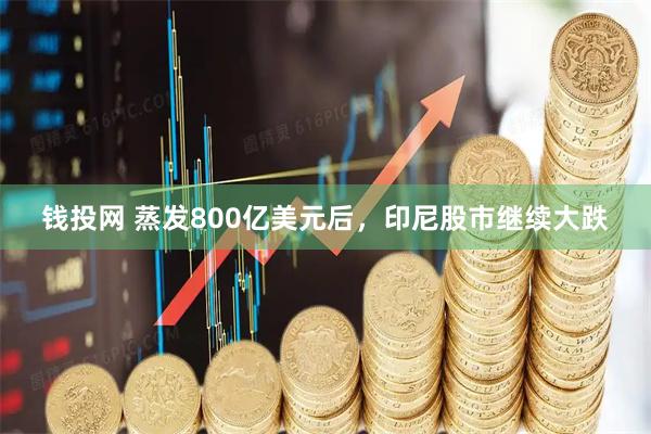 钱投网 蒸发800亿美元后，印尼股市继续大跌