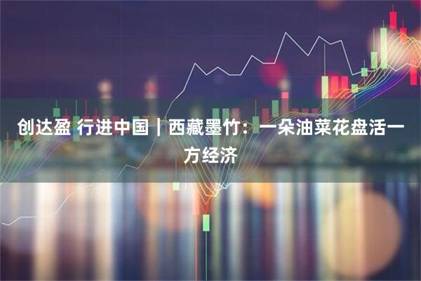 创达盈 行进中国|西藏墨竹:一朵油菜花盘活一方经济