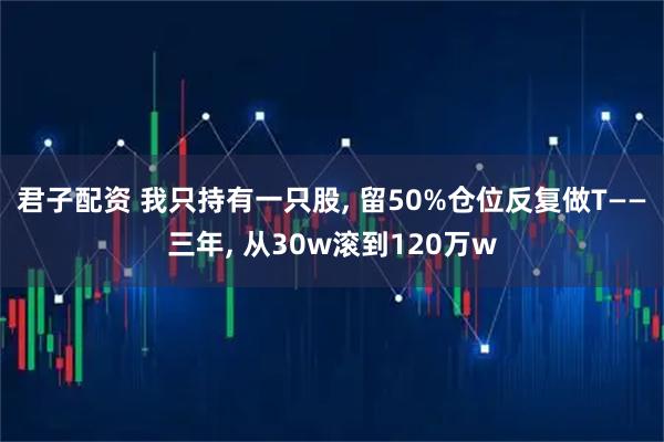 君子配资 我只持有一只股, 留50%仓位反复做T——三年, 从30w滚到120万w